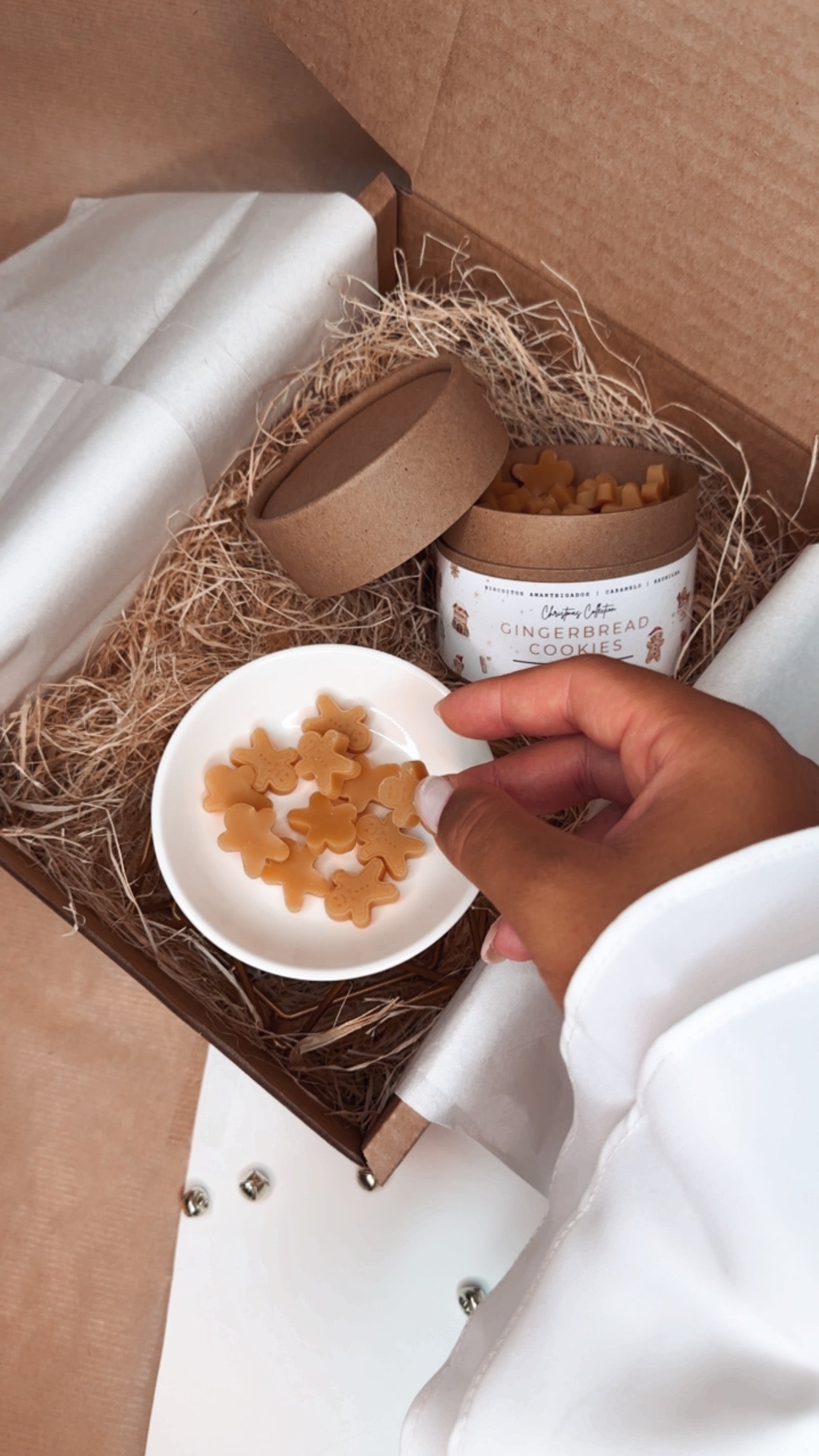 Box Gingerbread Cookies