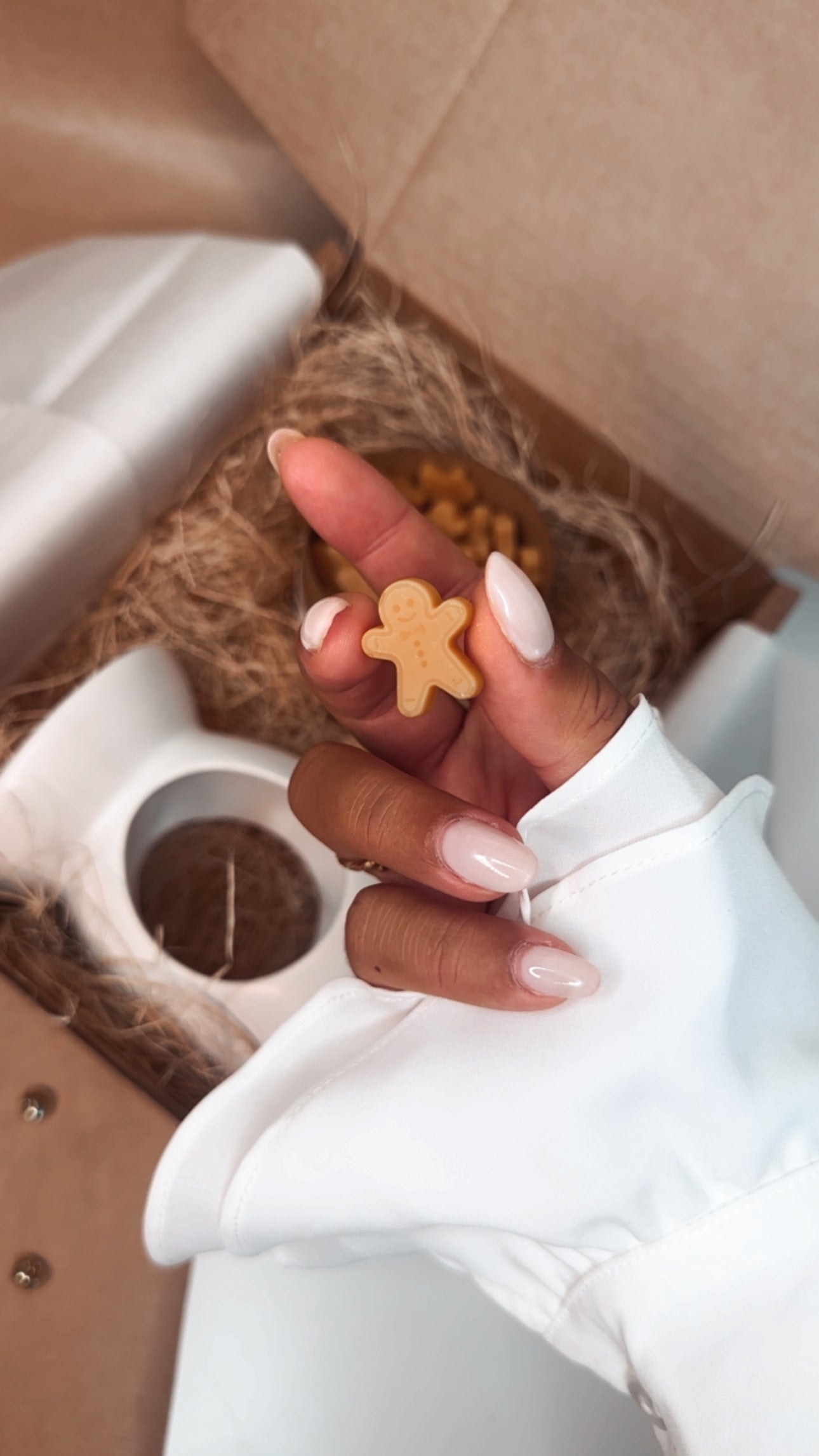 Box Gingerbread Cookies